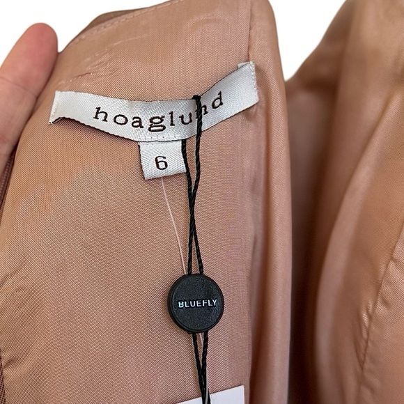 HOAGLUND 100% Silk Layered Jeweled Mini Dress Size 6 NWT - Picture 9 of 13